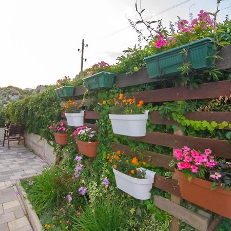 Village Holiday Apartman With Heated Pool Maslina Kostanje Екстериор снимка